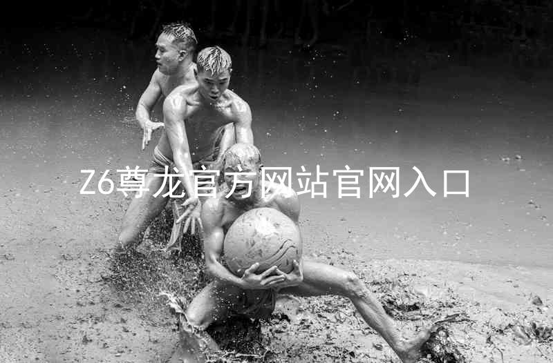 Z6尊龙官方网站官网入口
